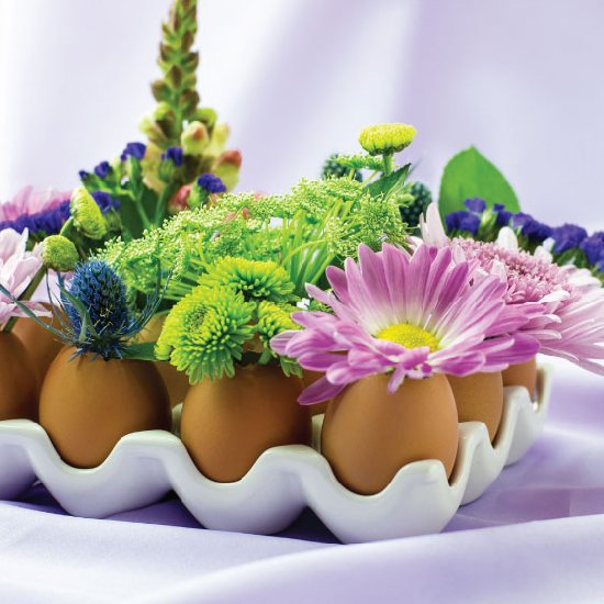 01 - eggshell-spring-floral