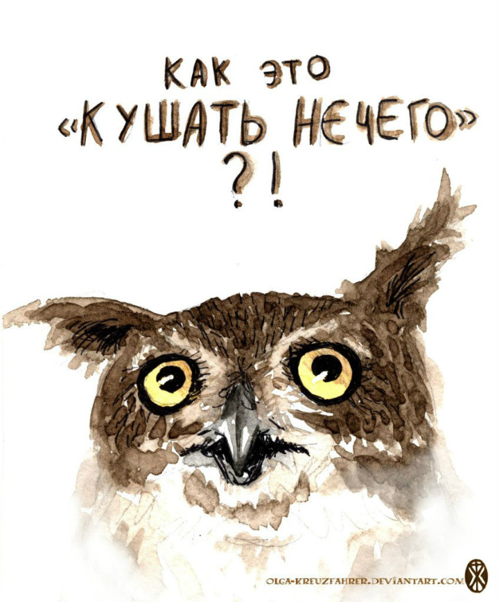 owl03
