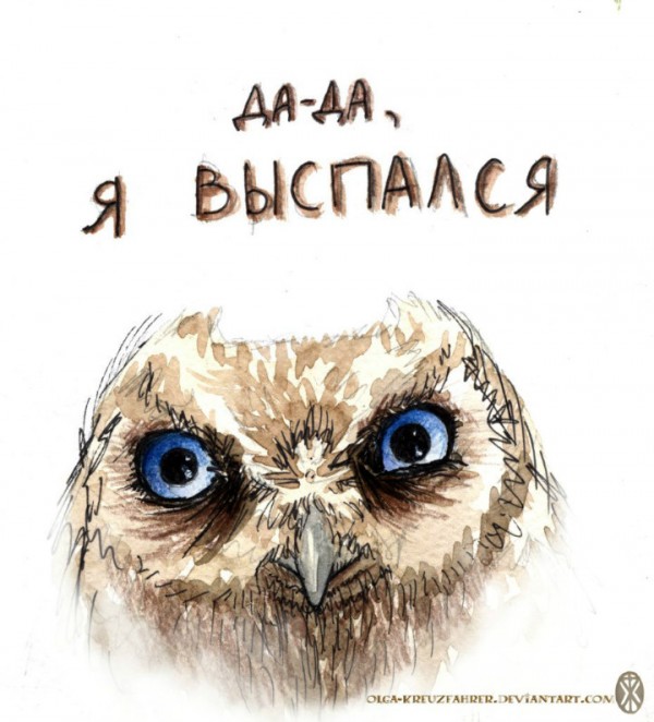 Вся наша жизнь... сова! И ты - тоже сова :о)