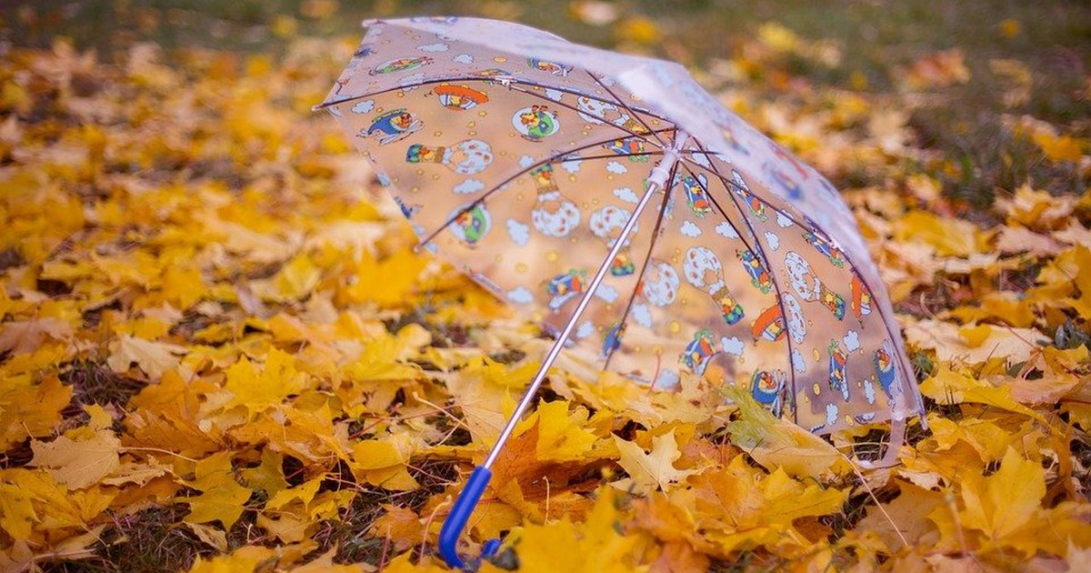 Какой зонт выбрать на осеннее ненастье и не пожалеть
