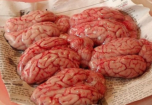 brain4